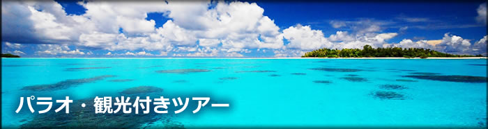 パラオ観光付きツアー