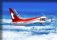 ティーウェイ航空チャーター直行便